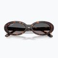 Слънчеви очила Ray-Ban RB2223 havana/gradient grey 3