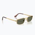 Слънчеви очила Ray-Ban RB3927 By A$Ap Rocky
