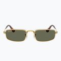 Слънчеви очила Ray-Ban RB3927 By A$Ap Rocky 2