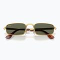 Слънчеви очила Ray-Ban RB3927 By A$Ap Rocky 3