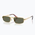 Слънчеви очила Ray-Ban RB3927 By A$Ap Rocky 4