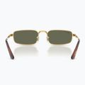 Слънчеви очила Ray-Ban RB3927 By A$Ap Rocky 5