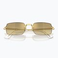 Слънчеви очила Ray-Ban RB3928 By A$Ap Rocky arista gold/brown gold 3