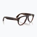 Очила с камера Ray-Ban Meta Aviator transp. umber/trs jade 4