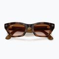 Очила с камера Ray-Ban Meta Zena havana/gradient brown 6