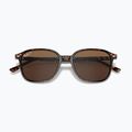 Слънчеви очила Ray-Ban Leonard tortoise/brown polarized 3