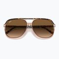 Слънчеви очила Ray-Ban Bill havana brown/transparent brown 3