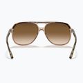 Слънчеви очила Ray-Ban Bill havana brown/transparent brown 5