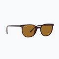 Слънчеви очила Ray-Ban Elliot havana brown/black polarized