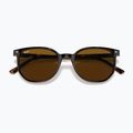 Слънчеви очила Ray-Ban Elliot havana brown/black polarized 3