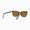 Слънчеви очила Ray-Ban Elliot havana brown/black polarized 6