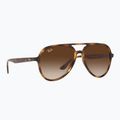Слънчеви очила Ray-Ban RB4376 havana/brown gradient
