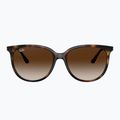 Слънчеви очила Ray-Ban RB4378 havana/brown gradient 2