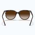 Слънчеви очила Ray-Ban RB4378 havana/brown gradient 3
