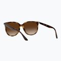 Слънчеви очила Ray-Ban RB4378 havana/brown gradient 4