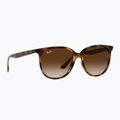 Слънчеви очила Ray-Ban RB4378 havana/brown gradient 5