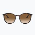 Слънчеви очила Ray-Ban RB2204 havana/light brown 2