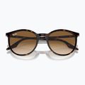 Слънчеви очила Ray-Ban RB2204 havana/light brown 3