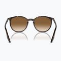 Слънчеви очила Ray-Ban RB2204 havana/light brown 5