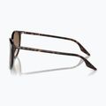 Слънчеви очила Ray-Ban RB2204 havana/light brown 6