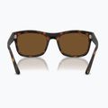 Слънчеви очила Ray-Ban RB4428 havana matte/brown polarized 5