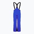 EA7 Emporio Armani мъжки ски панталони Pantaloni 6RPP27 new royal blue 2