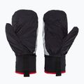 Скиорски ръкавици Level Alper Light black 5
