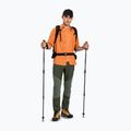 Мъжки панталони за трекинг Montura Mountain Trek verde salvia 2