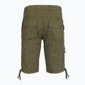 Мъжки шорти Aeronautica Militare BE0041UCT01122 green 2