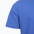 Мъжка тениска Aeronautica Militare TS1580UJ00372 sonic blue 4