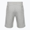 Мъжки къси панталони Champion Rochester grey 2