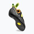 Мъжки обувки за катерене La Sportiva Tarantula carbon/lime punch 11