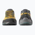 Мъжки обувки за преходи La Sportiva TX4 Evo ST savana/onyx 4