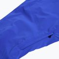 Мъжки ски панталони EA7 Emporio Armani Ski Cortina Toray new royal blue 5