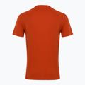 Мъжки EA7 Emporio Armani Visibility Cotton Crew Тениска с чай от ройбос 2