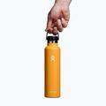 Термобутилка Hydro Flask Standard Flex Cap 710 ml fosil 3