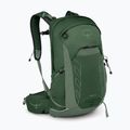 Osprey Talon 22 l green canopy / pine leaf мъжка туристическа раница 2