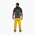Osprey Talon 22 l green canopy / pine leaf мъжка туристическа раница 5