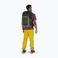 Osprey Talon 22 l green canopy / pine leaf мъжка туристическа раница 6