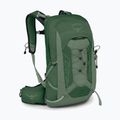 Osprey Talon 11 l green canopy/ pine leaf мъжка туристическа раница 2