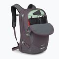 Градска раница Osprey Nebula 32 l graphite/purple heather 4