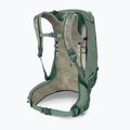 Мъжка туристическа раница Osprey Stratos 24 l pine leaf 4