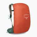 Мъжка туристическа раница Osprey Stratos 24 l pine leaf 5