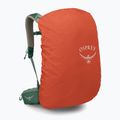 Мъжка туристическа раница Osprey Stratos 34 l pine leaf 5