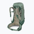 Мъжка туристическа раница Osprey Stratos 44 l pine leaf 4