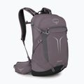 Туристическа раница Osprey Sportlite 25 l graphite purple 2