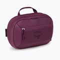 Несесер Osprey Ozone Large Toiletry Kit moody burgundy 2