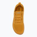 Мъжки обувки за боси крака Xero Shoes Nexus Knit gold 5