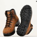 Мъжки ботуши за преходи Alpina Tundra brown 14