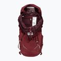 Дамска раница за трекинг Lowe Alpine AirZone Trek ND43:50 43 + 7 л малина 4